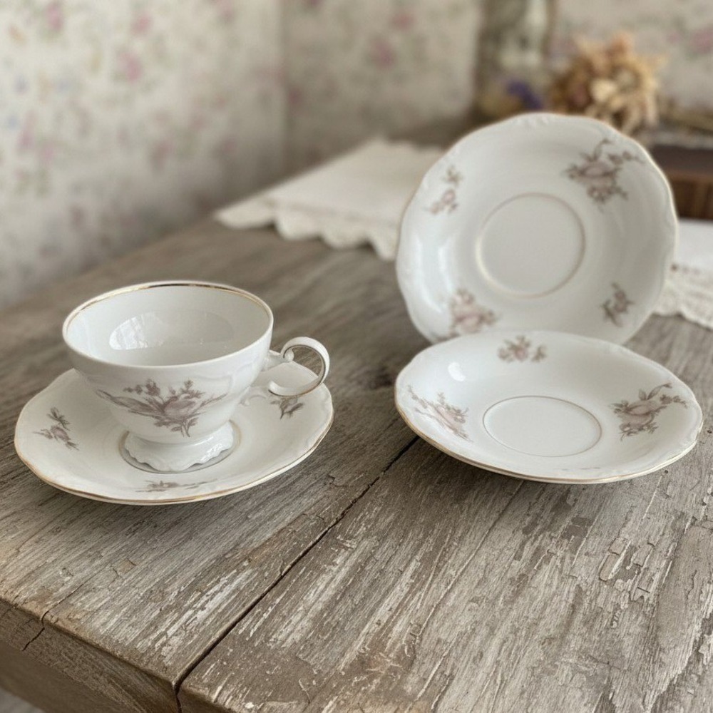 Johann Haviland Bavaria Sepia Rose Footed Teacup & Saucer + 2 Saucers
